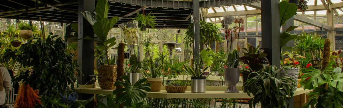 Rainforest Terrarium Beta
